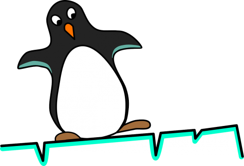 penguin equilibrium fear