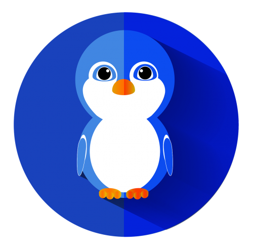 penguin bird flat icon