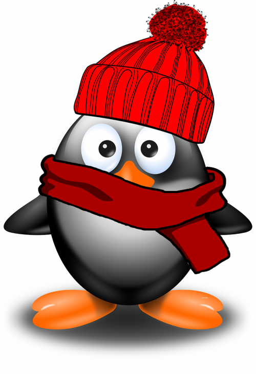 penguin winter cold