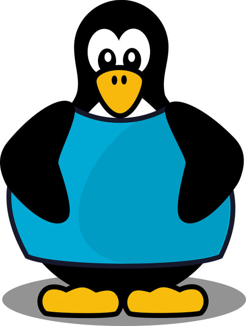 penguin bird cartoon penguin