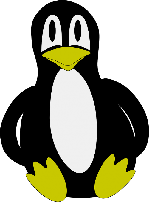 penguin flightless bird antarctic bird