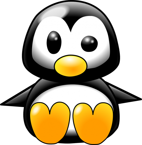 penguin penguin chick baby penguin