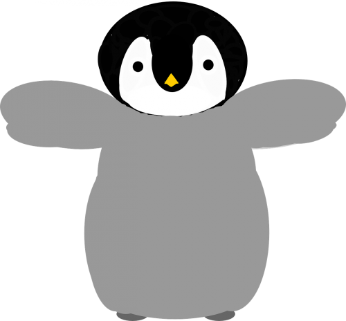 penguin baby bird