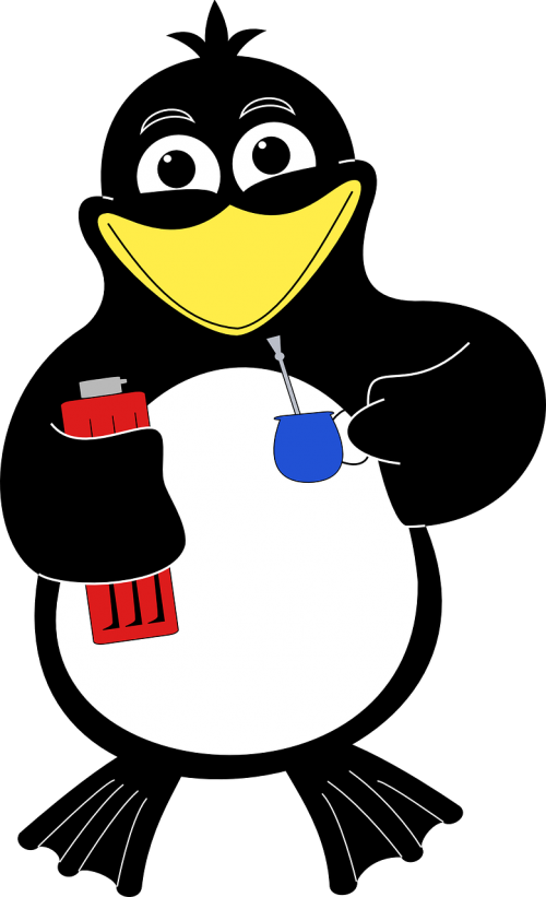 penguin animal cartoon