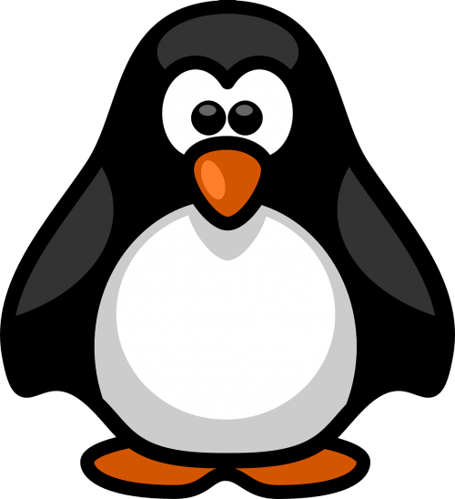 penguin aquatic flightless