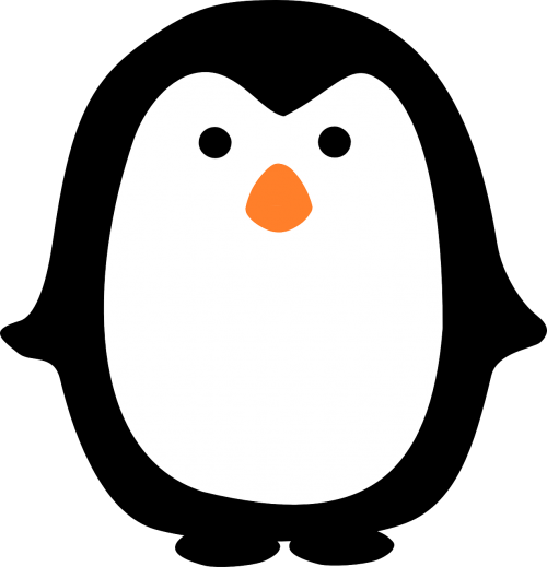penguin cute bird