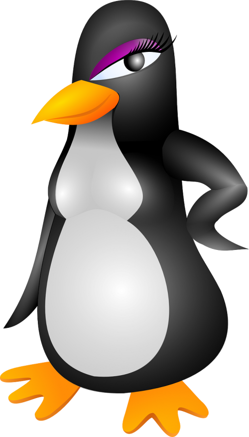 penguin female girl