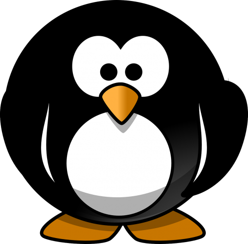 penguin cute bird