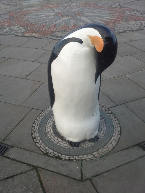 penguin dundee cold