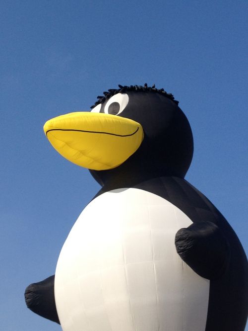 penguin inflatable toy