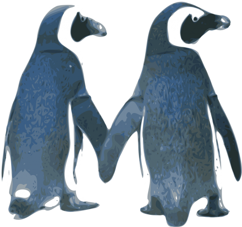 penguins love birds