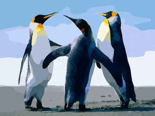 penguins tux birds