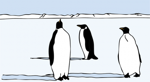 penguins animals tux