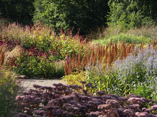 pensthorpe garden natural planting