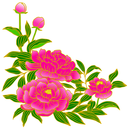 peony pink gay