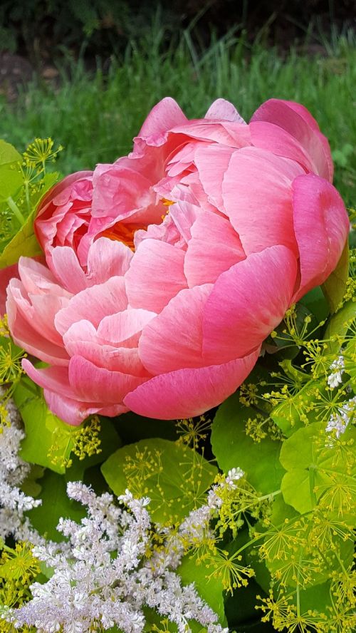 peony decorative flower bouquet