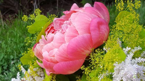 peony decorative flower bouquet