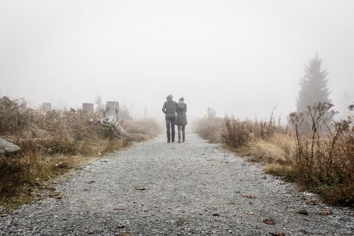 people walking path