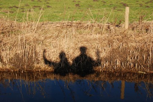 people silhouette waving