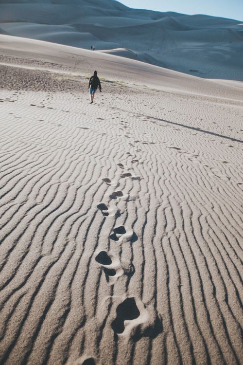 people walking travel