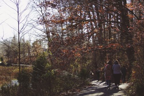 people women walking