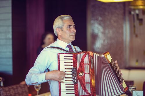 people accordionist accordion