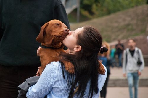 people animals happiness