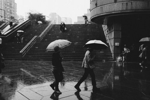 people raining umbrellas