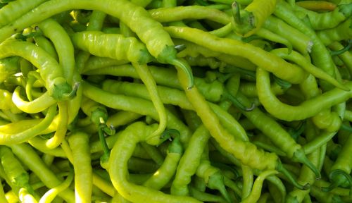 pepper green pointed vegetables