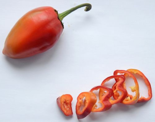 pepper red vegetable