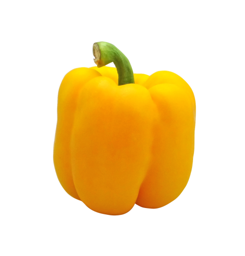 pepper yellow bell