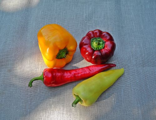 pepper vegetables red