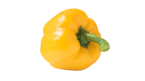 pepper  yellow  bulgarian