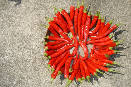 pepper  dry  solar