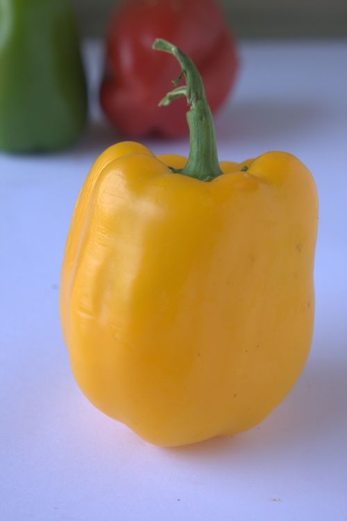 pepper yellow capsicum