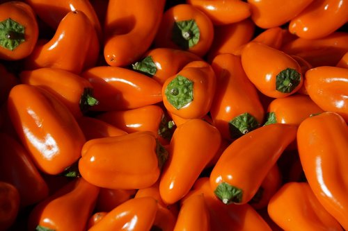 pepper  peppers  orange