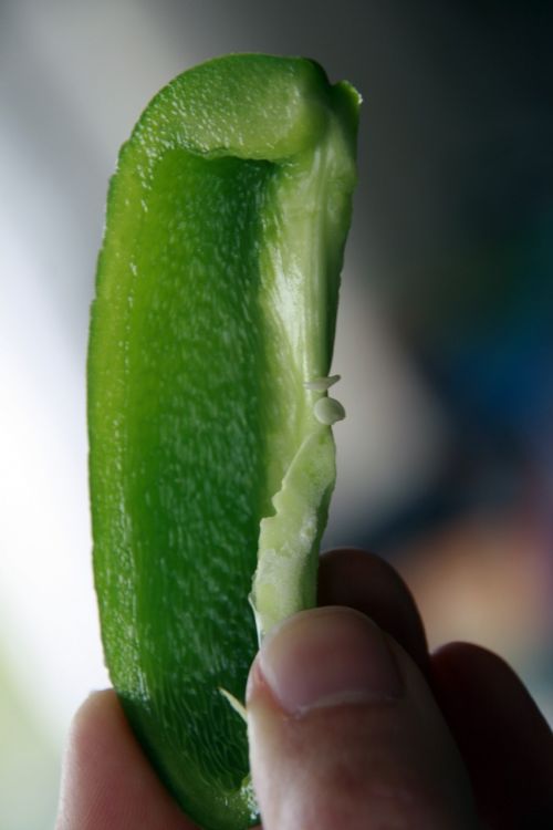 pepper green slice