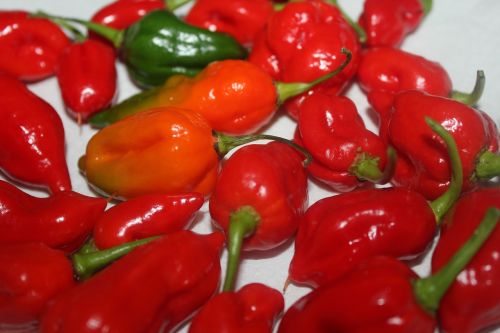 peppers red chilli