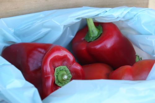 peppers pepper vegetables