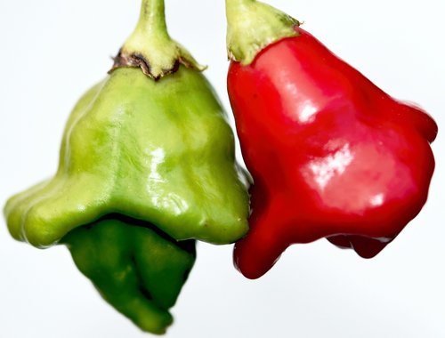 peppers  red  green