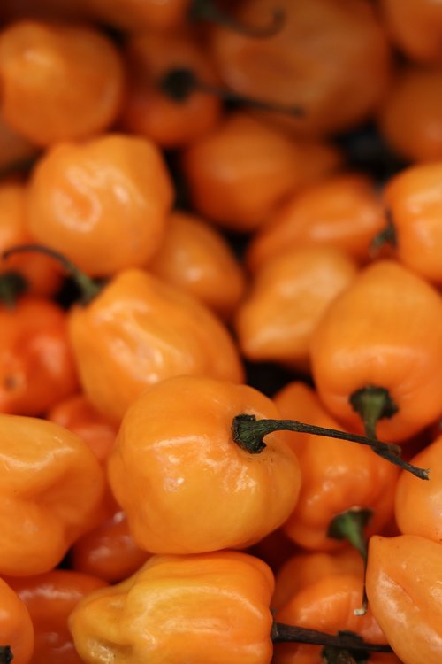 peppers  macro  hot