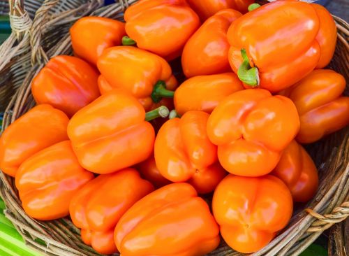 peppers bell orange