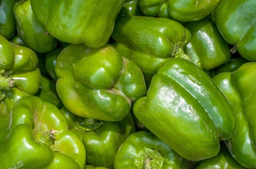 peppers bell pepper green