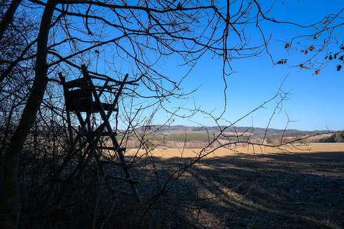perch  outlook  hunting seat