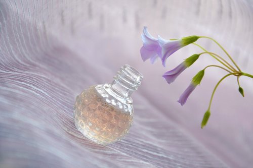 perfume  aroma  bottle