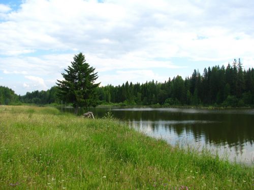perm krai pond landscape