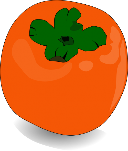 persimmon fruit orange