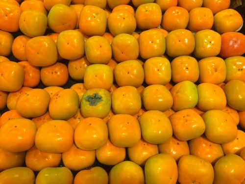 persimmon huang orange