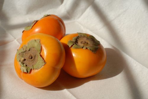 persimmons fruit fresh