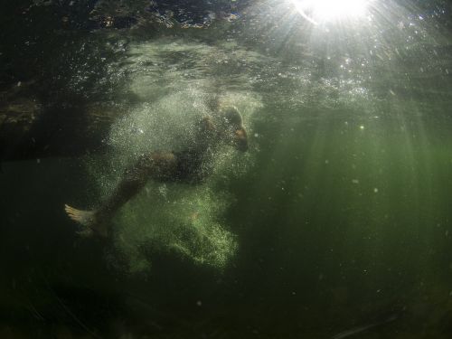 person underwater jump
